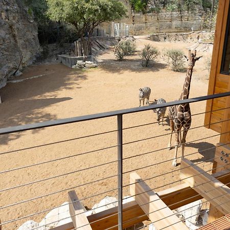 San Antonio Zoo - Spekboom Giraffe Lodge Buitenkant foto