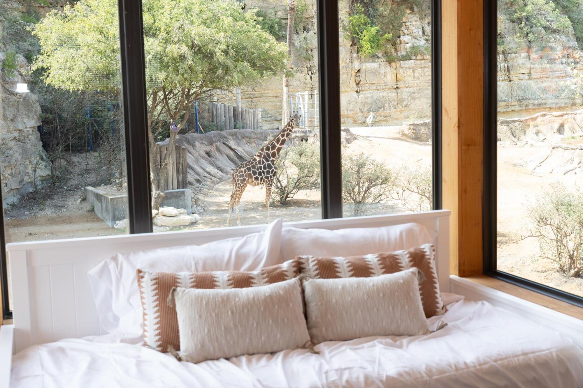 San Antonio Zoo - Spekboom Giraffe Lodge Buitenkant foto